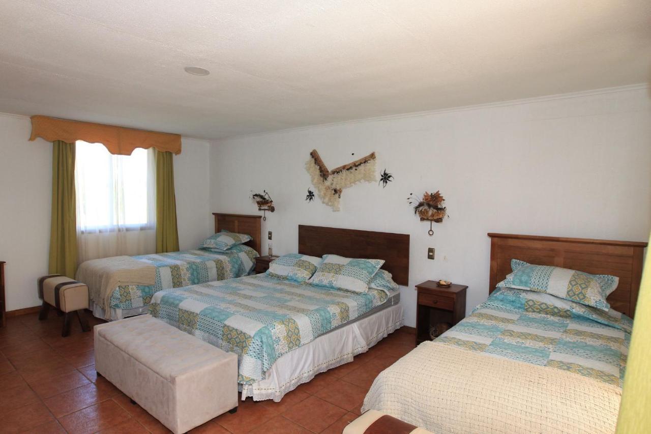 Hare Pakoba Guest House Hanga Roa Zewnętrze zdjęcie